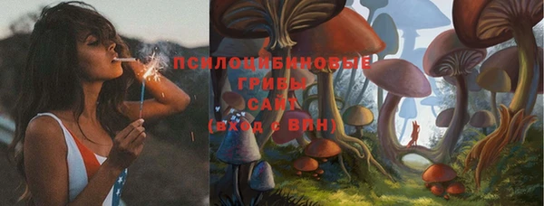 mix Гусь-Хрустальный