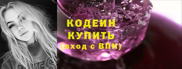 таблы Гусев