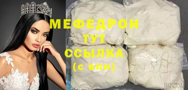 шишки Гусиноозёрск