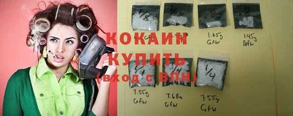 таблы Гусев