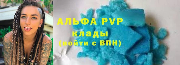 таблы Гусев