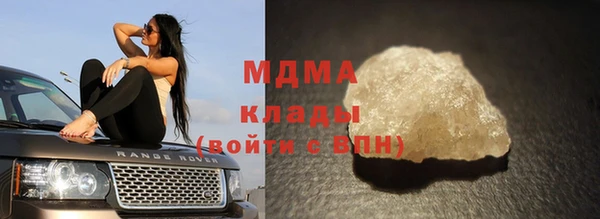 шишки Гусиноозёрск