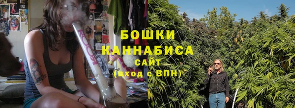 ПСИЛОЦИБИНОВЫЕ ГРИБЫ Горно-Алтайск