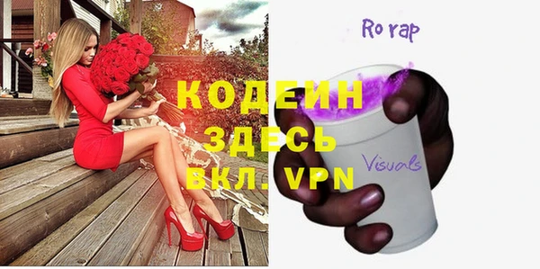 таблы Гусев
