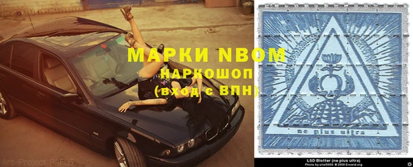 шишки Гусиноозёрск