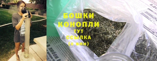 шишки Гусиноозёрск