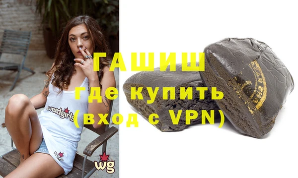 шишки Гусиноозёрск