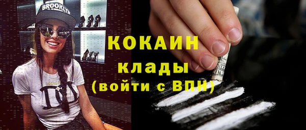 шишки Гусиноозёрск